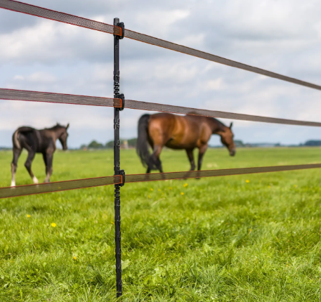 Jonge dieren schrikdraad